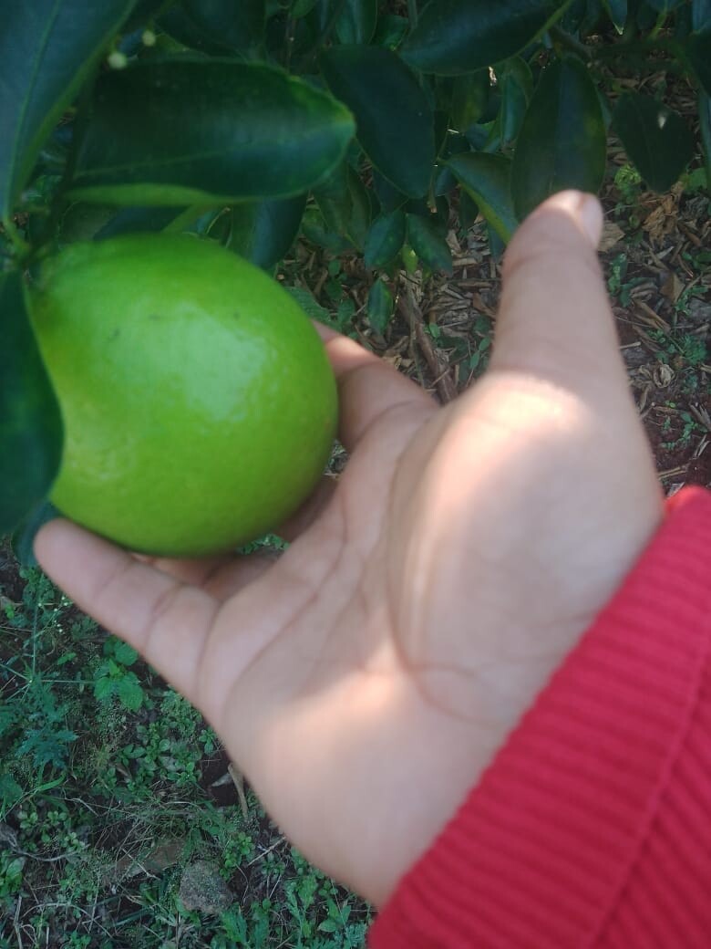 9 de 20