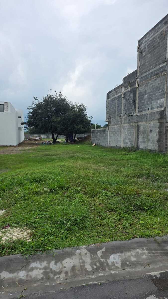 1 de 8