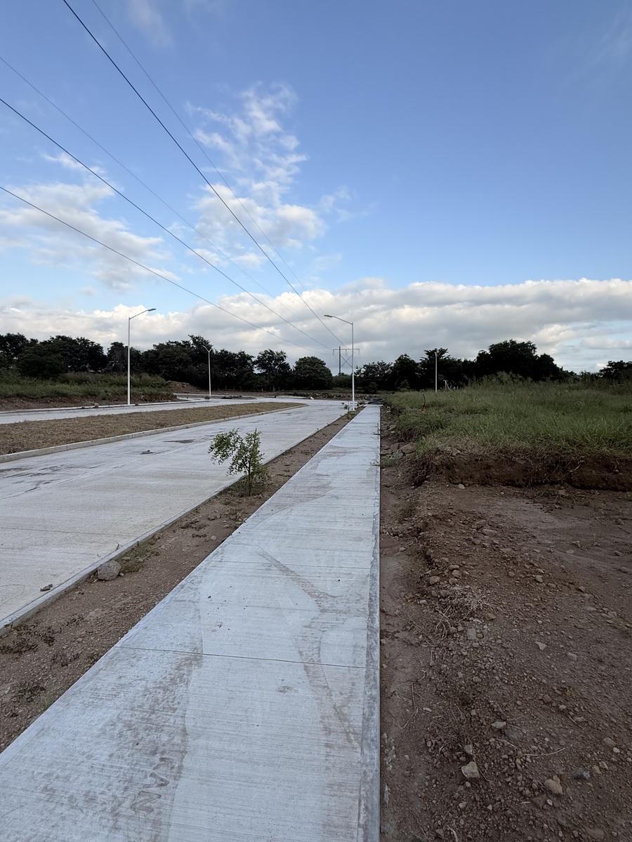 2 of 7: Vialidades