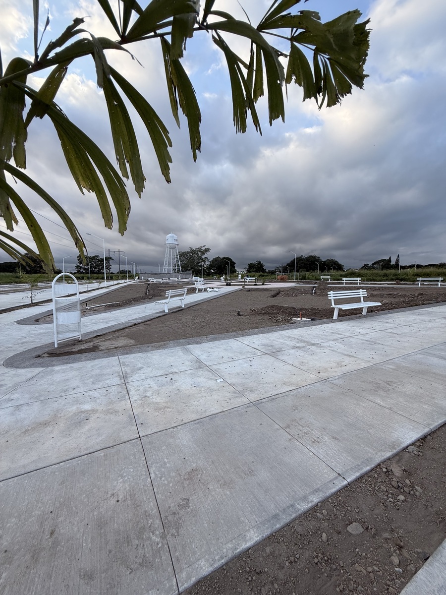 3 of 7: Jardin en proceso de termindado