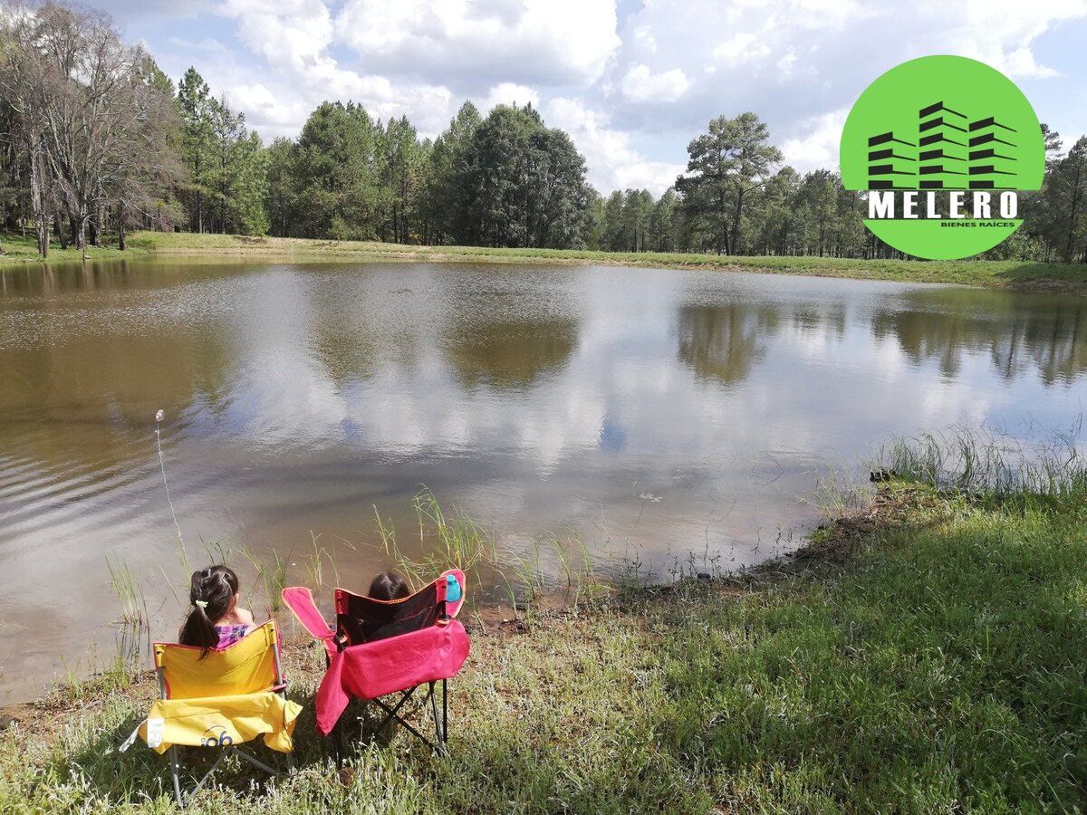 Terreno en Venta en Fracc. Providencia Eco Park