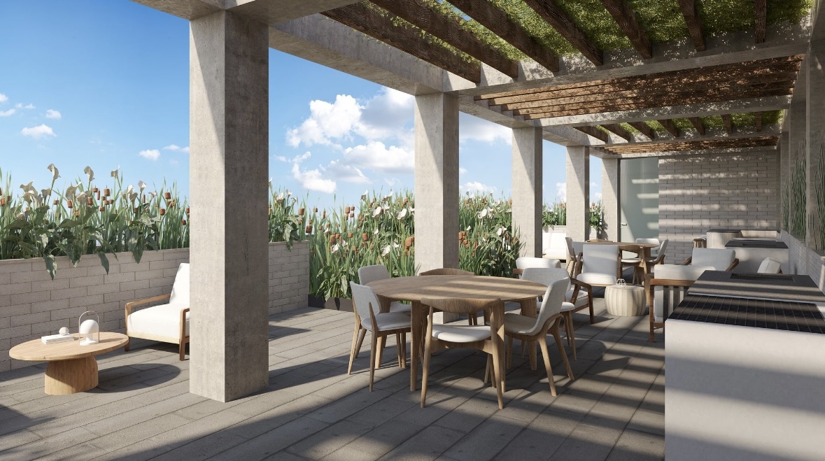 8 of 11: Terraza