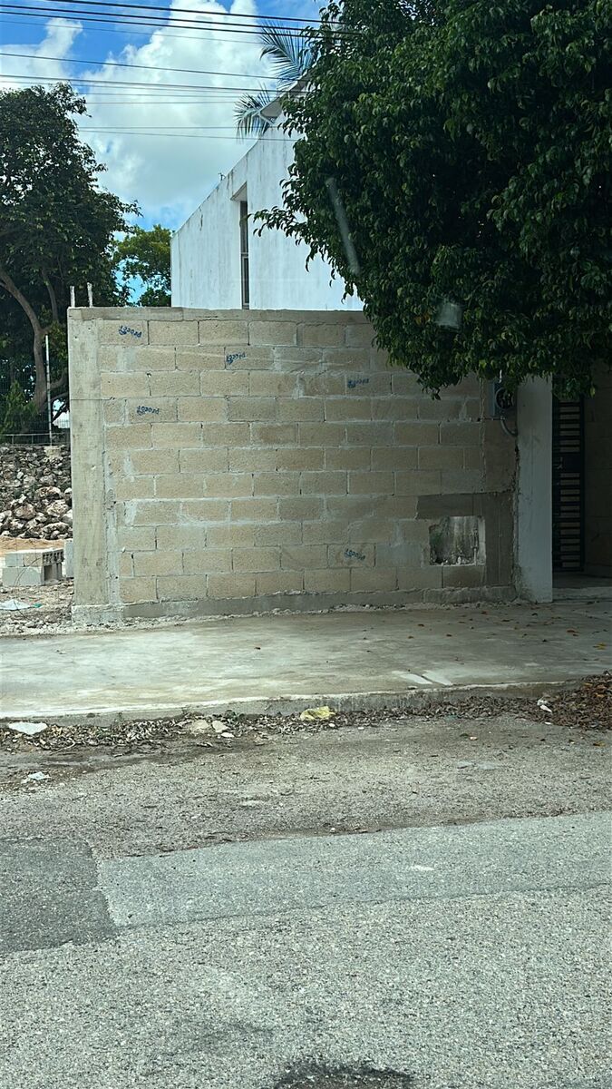 3 de 6