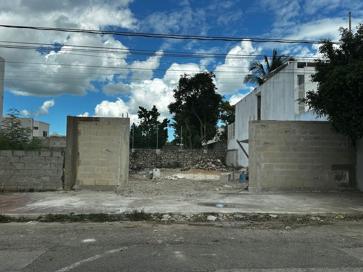4 de 6