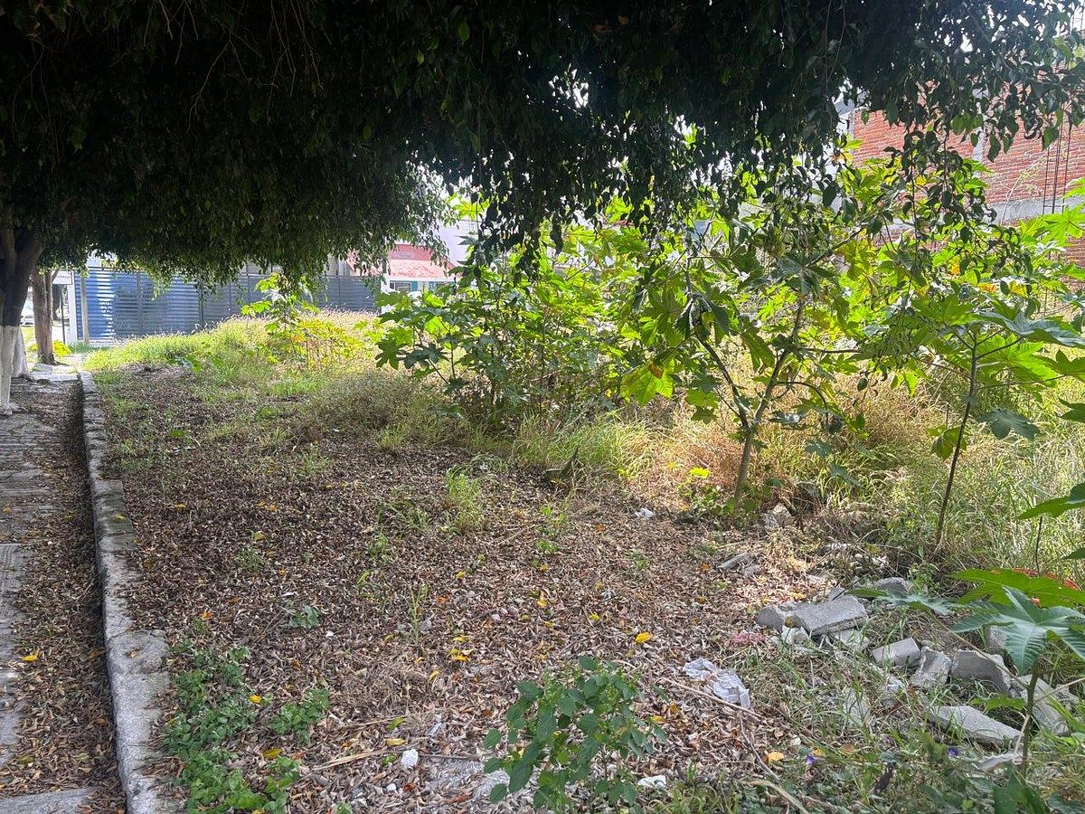 Terreno en Los Pájaros, Corregidora, foto 3 de 9