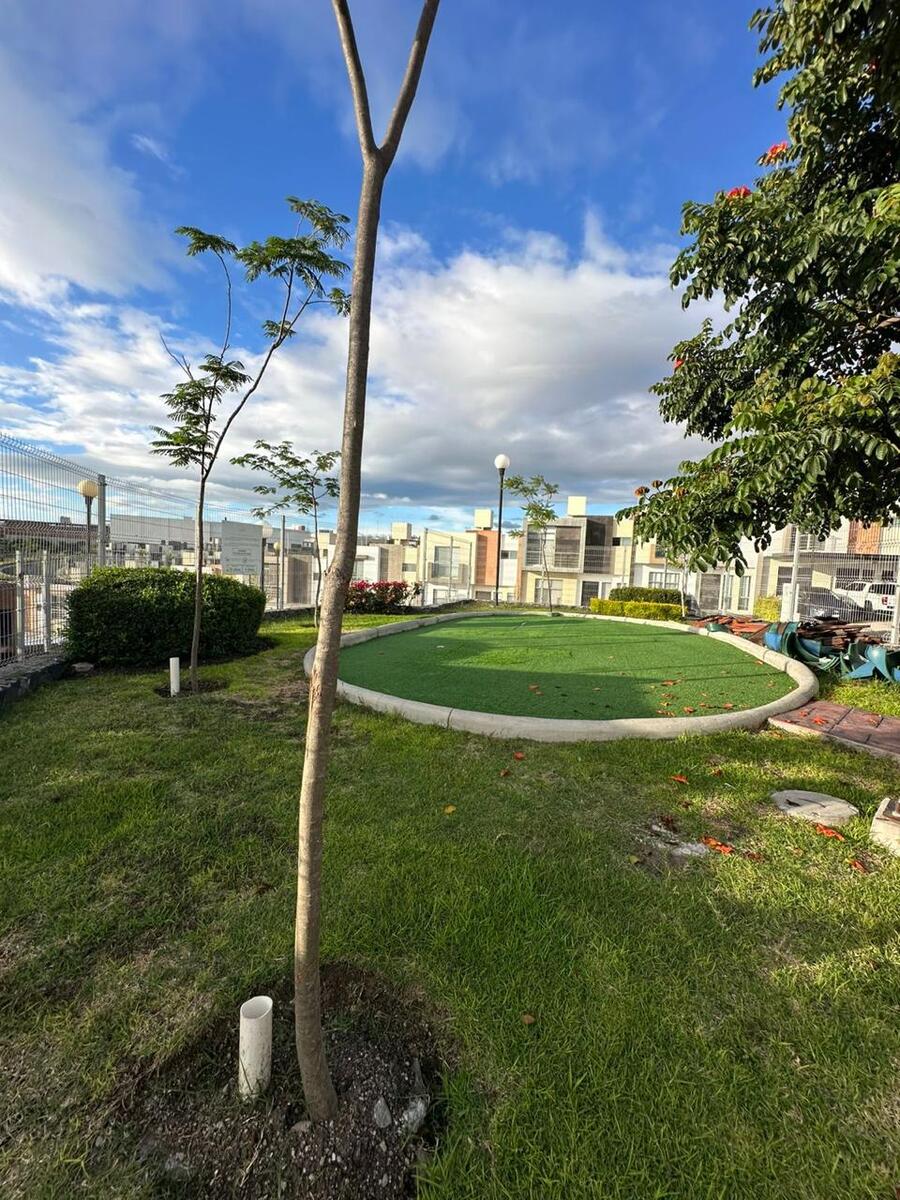 10 de 11