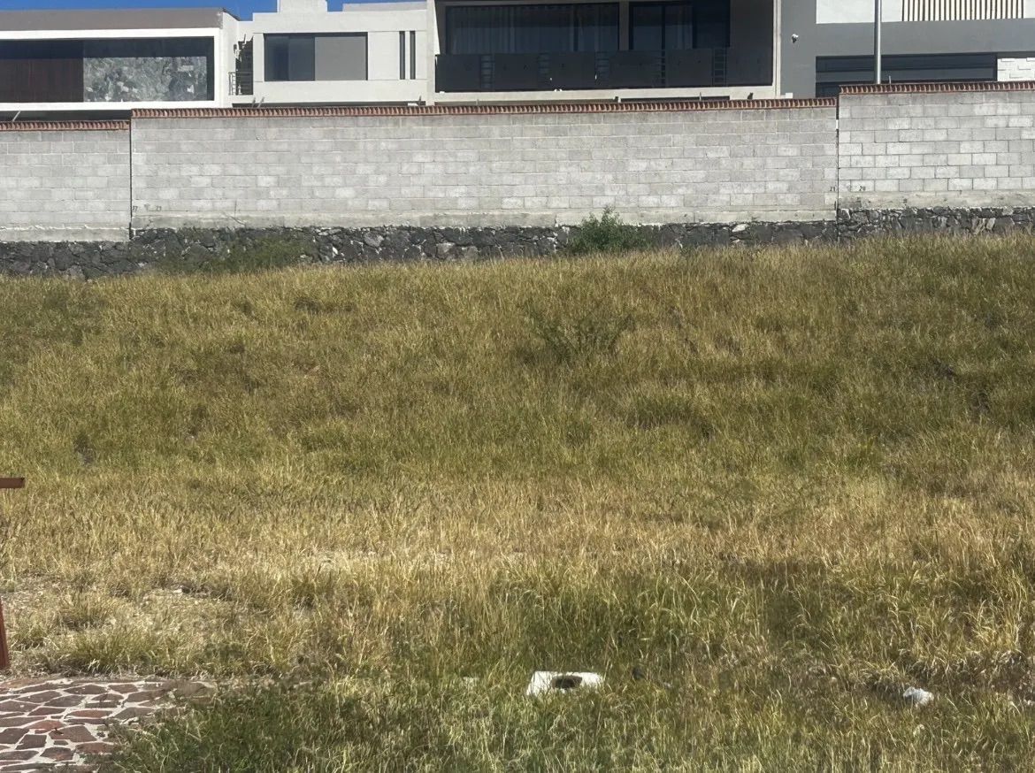 3 de 6