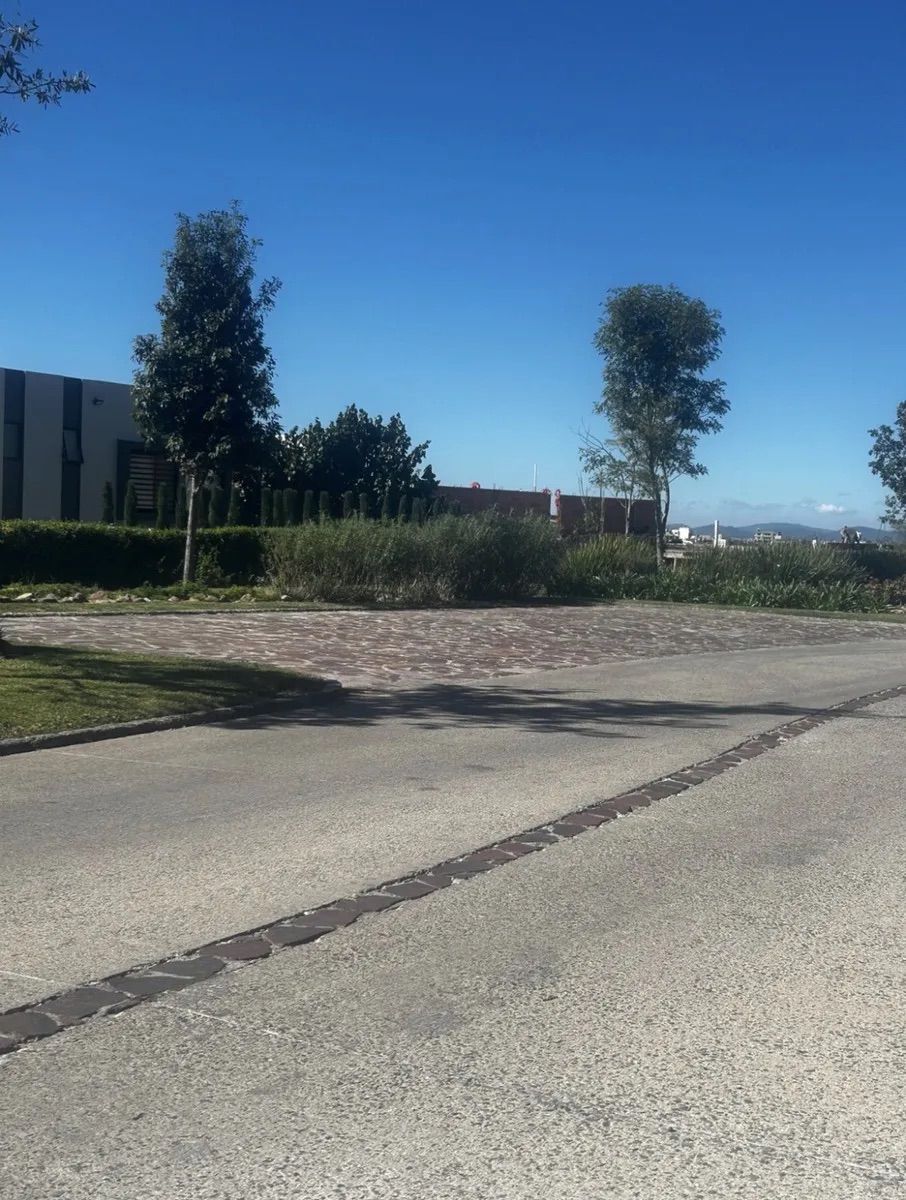 6 de 6
