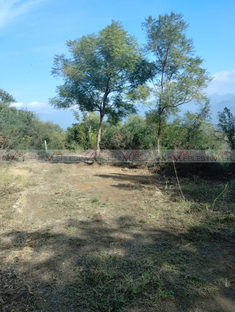 3 de 10