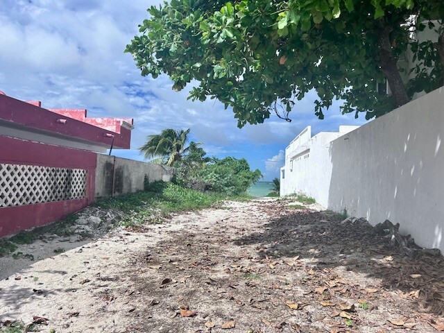 3 de 6
