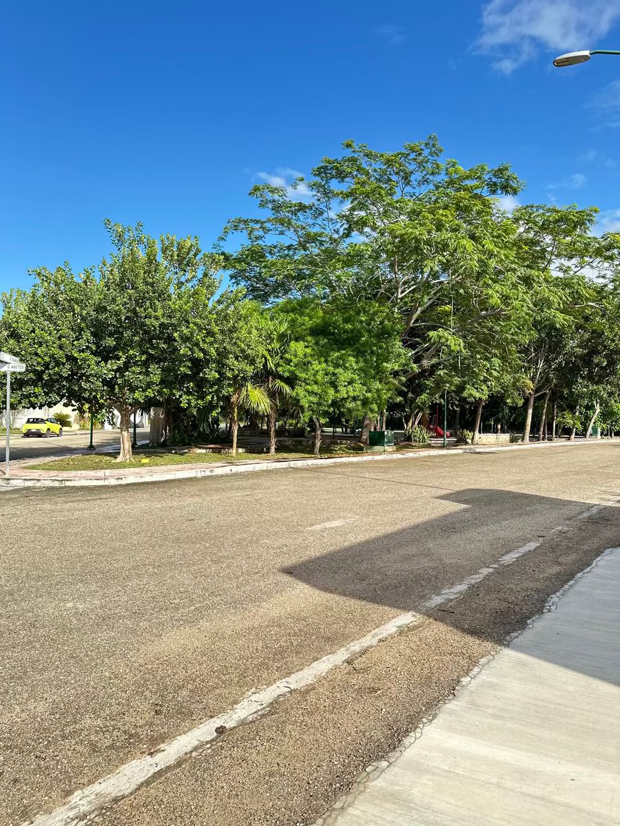 15 de 36: vista frontal