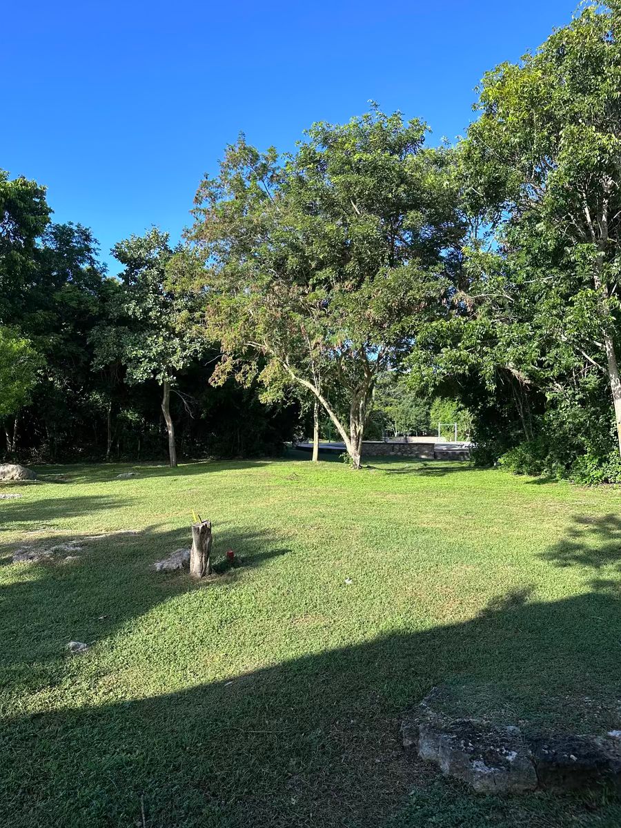 32 de 36: parque del fraccionamiento