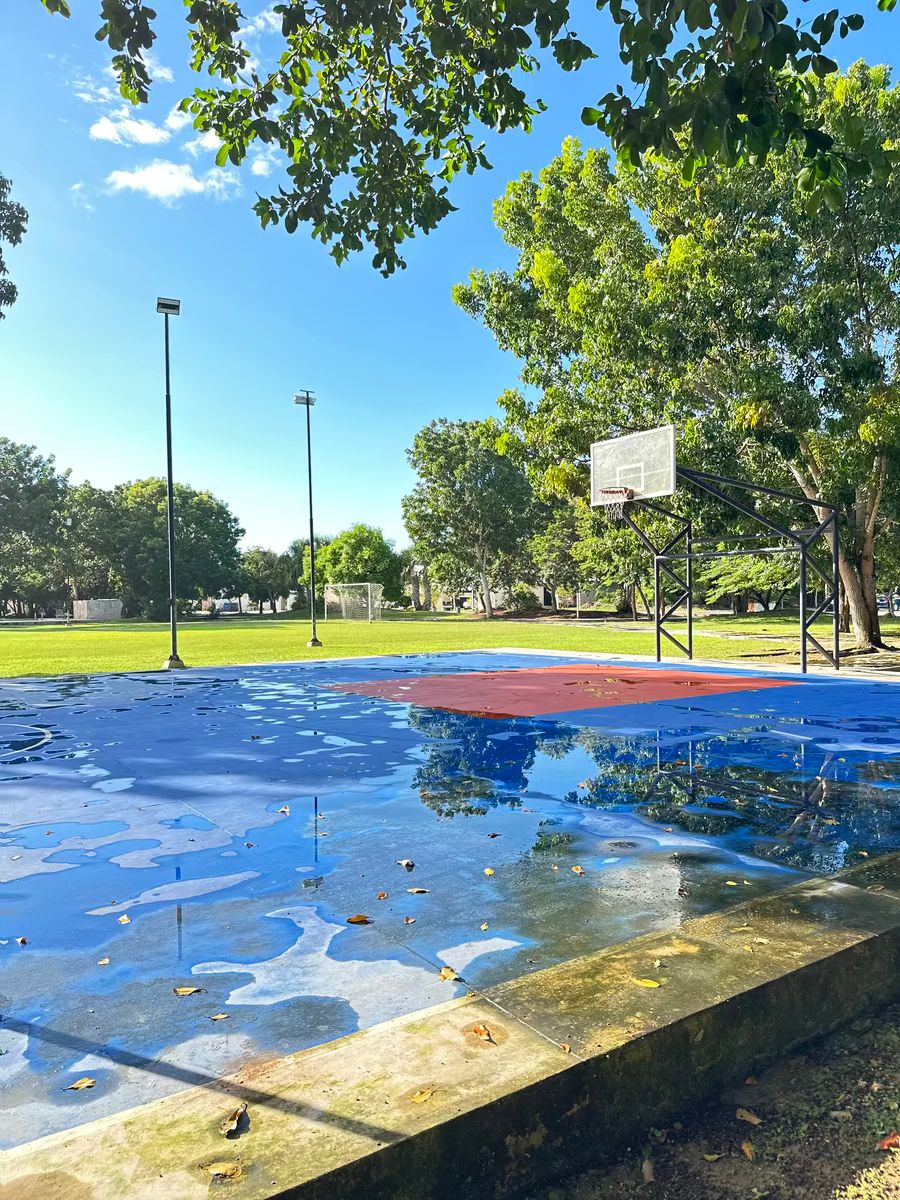 33 de 36: canchas de basket