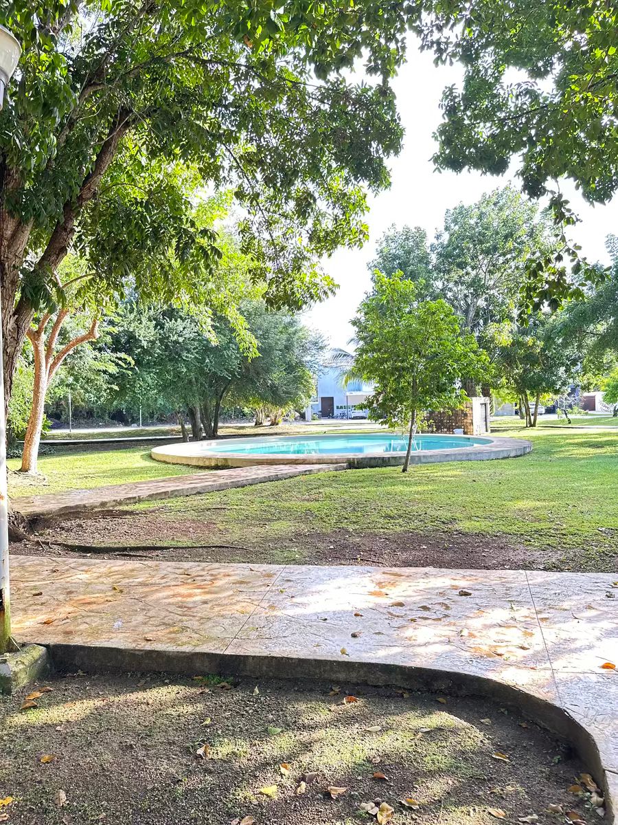 35 de 36: alberca del parque