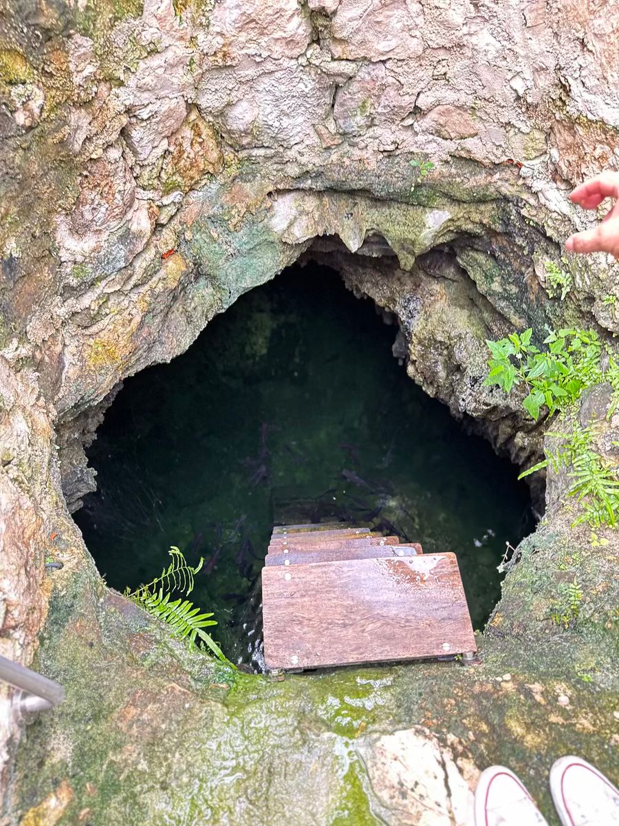 13 de 36: entrada del cenote
