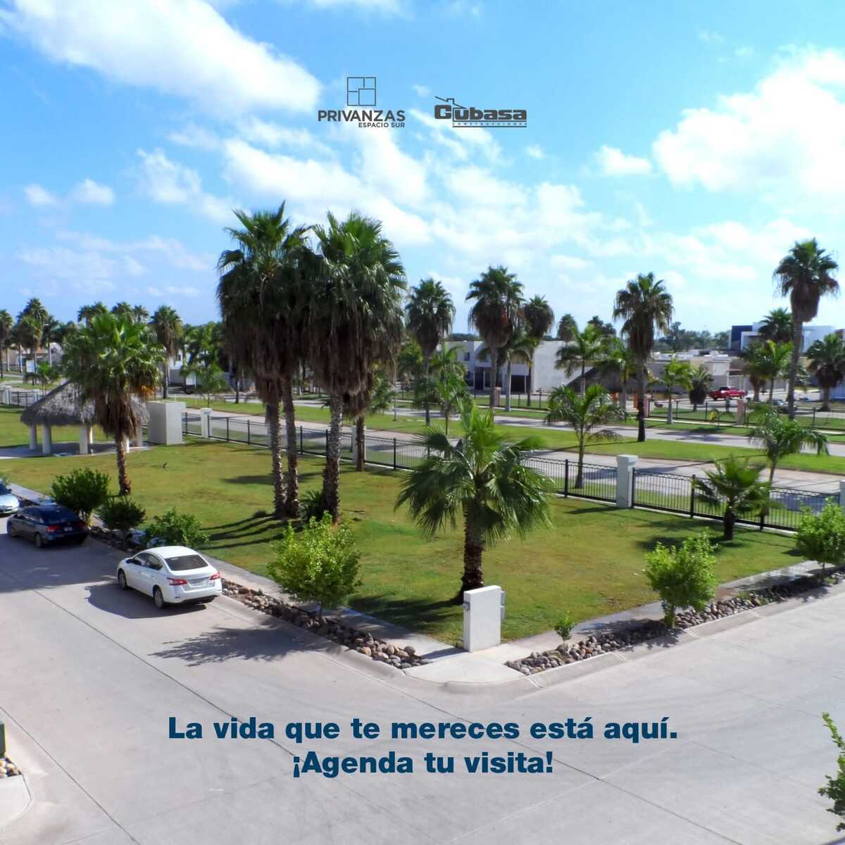 2 de 14
