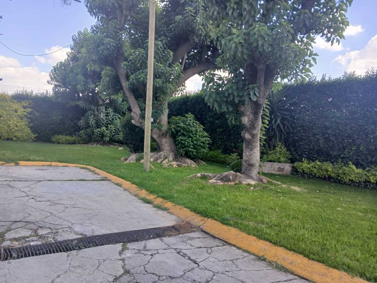 19 de 19