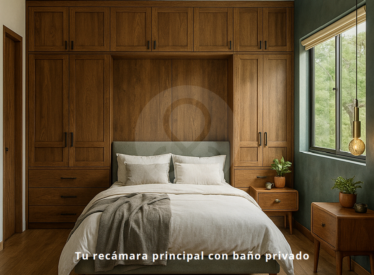 2 de 6