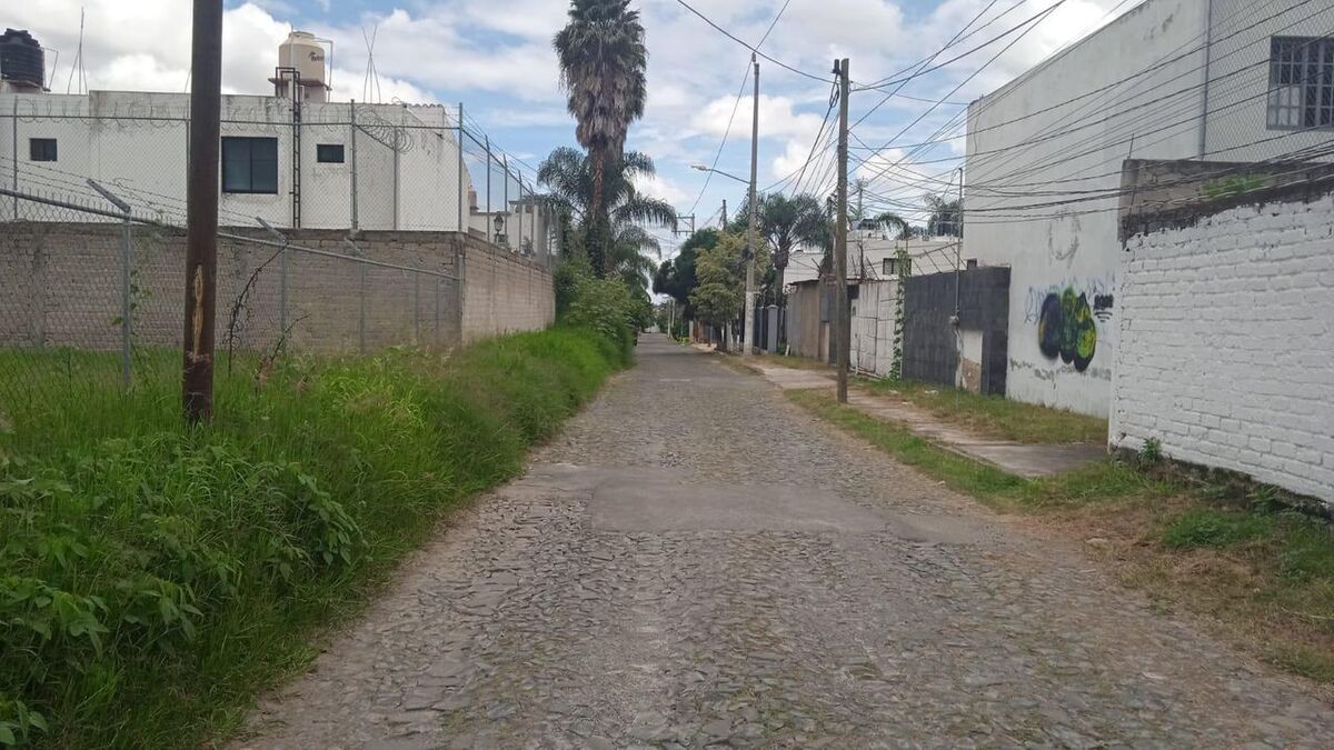 3 de 8