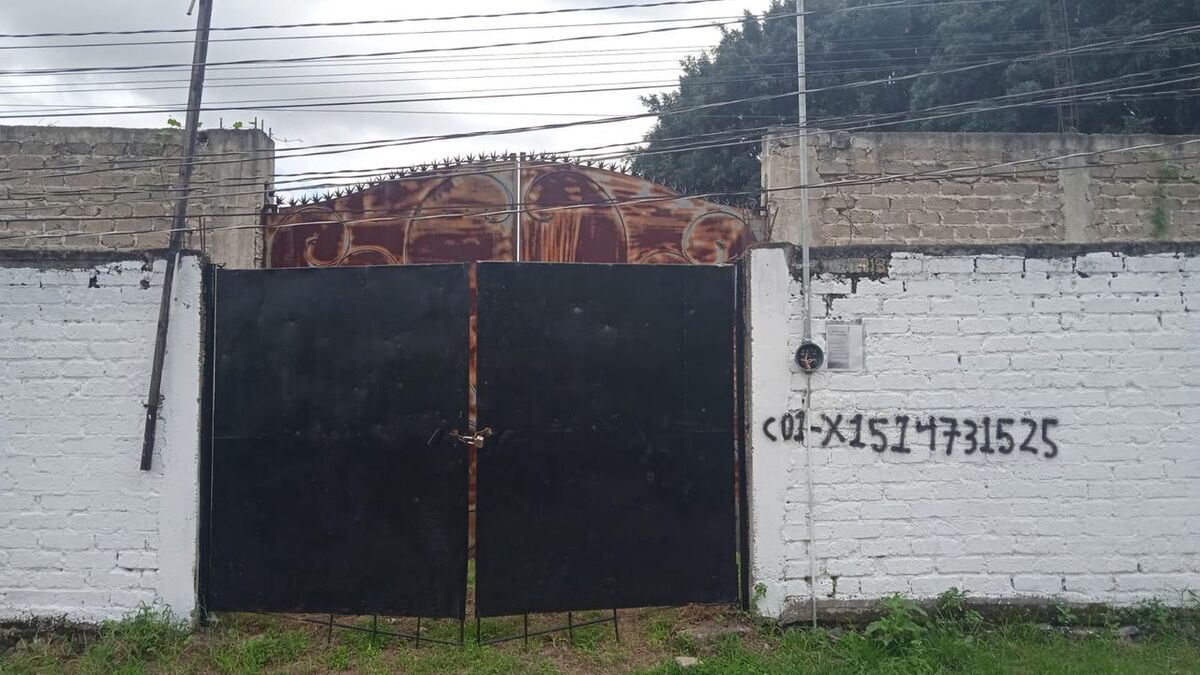 4 de 8