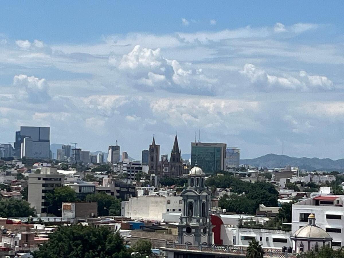 12 de 15