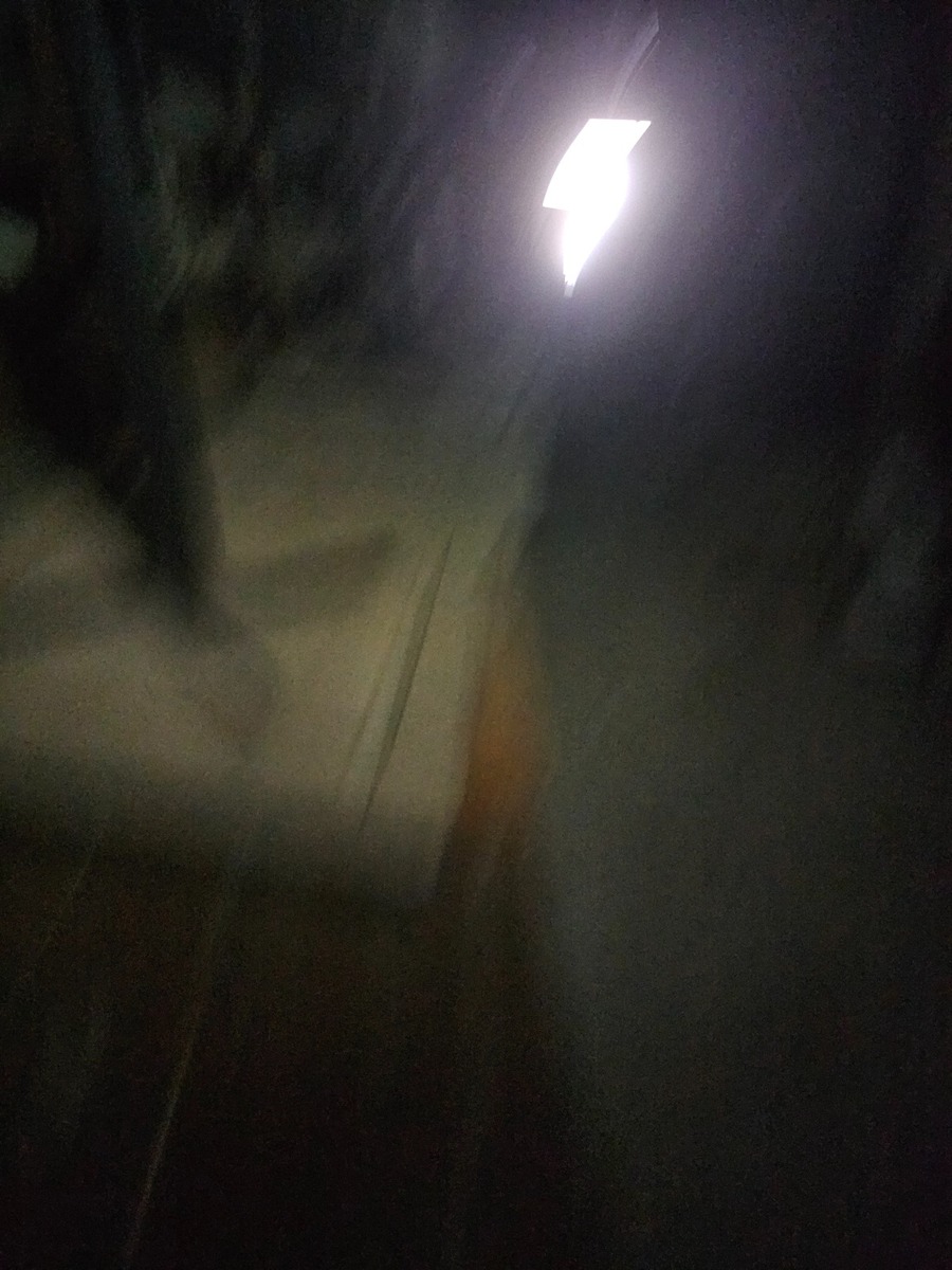 19 de 22