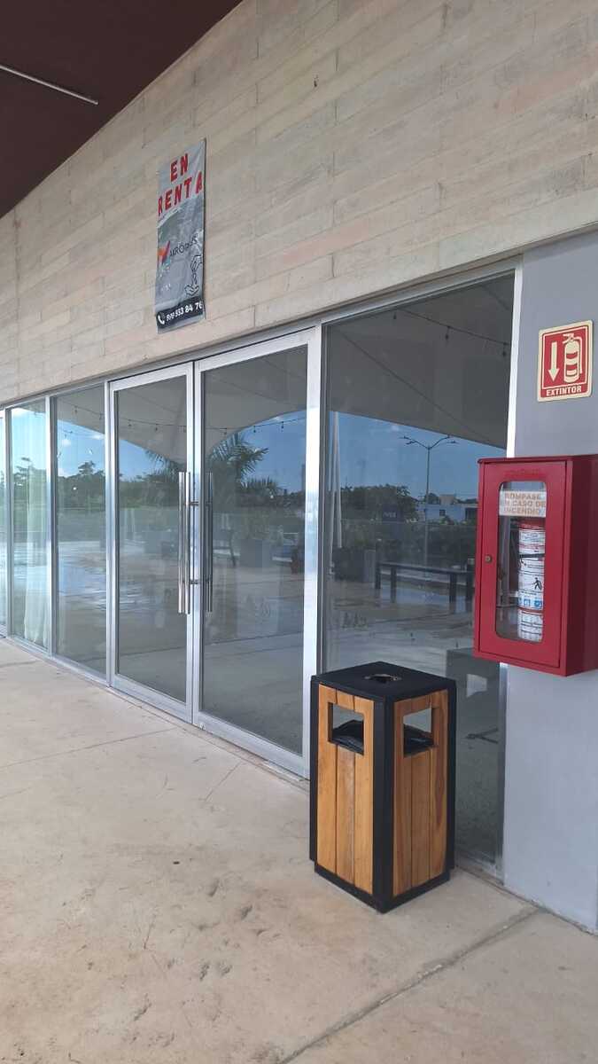 2 de 4