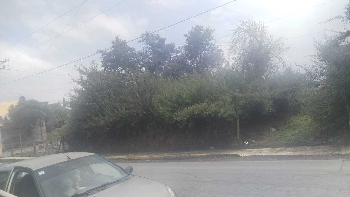 3 de 3