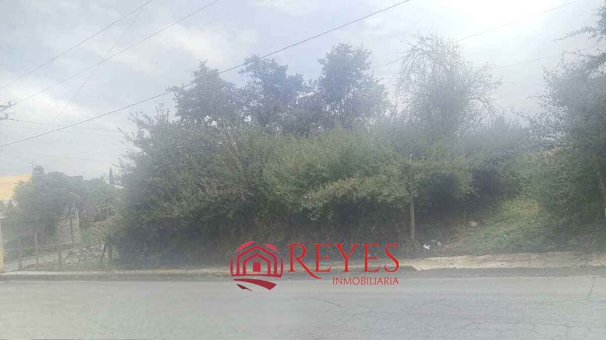 1 de 3