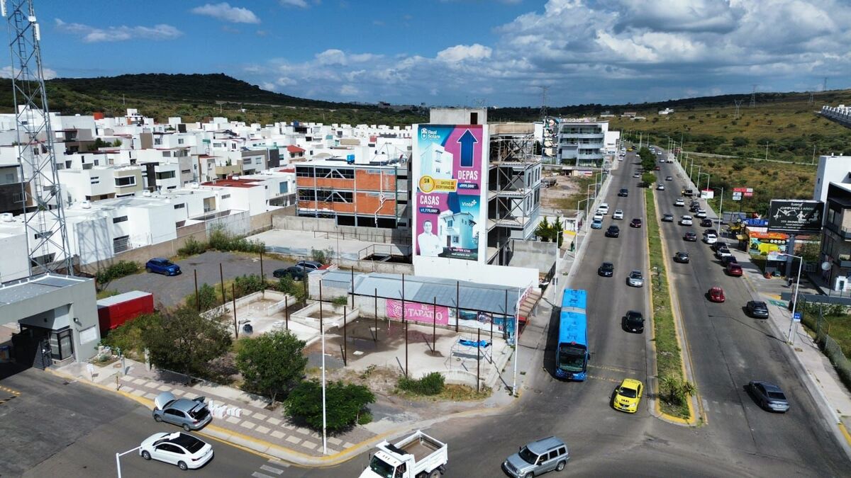 6 de 12