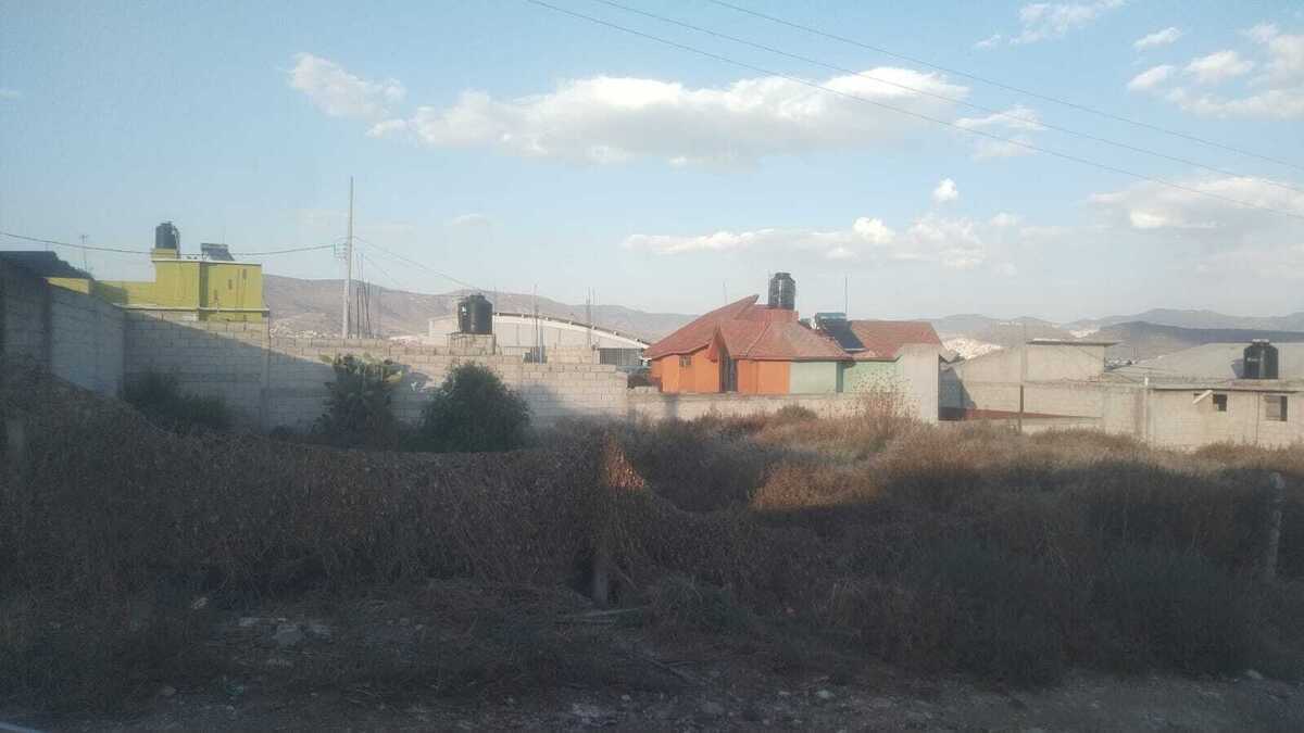 3 de 21
