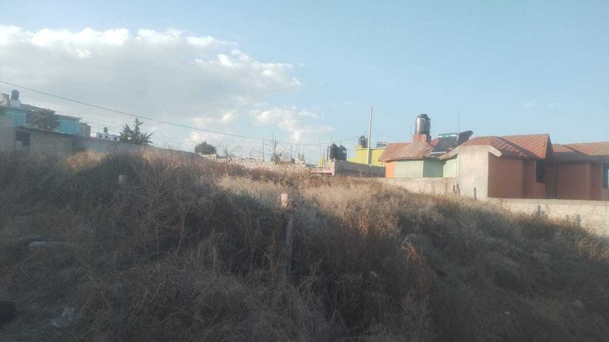 5 de 21
