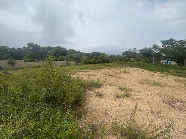 5 de 10