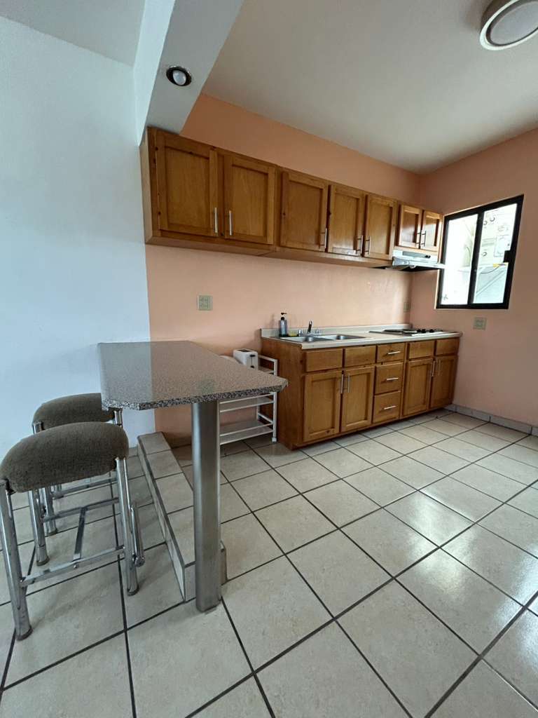 6 de 11: Barra y cocina.