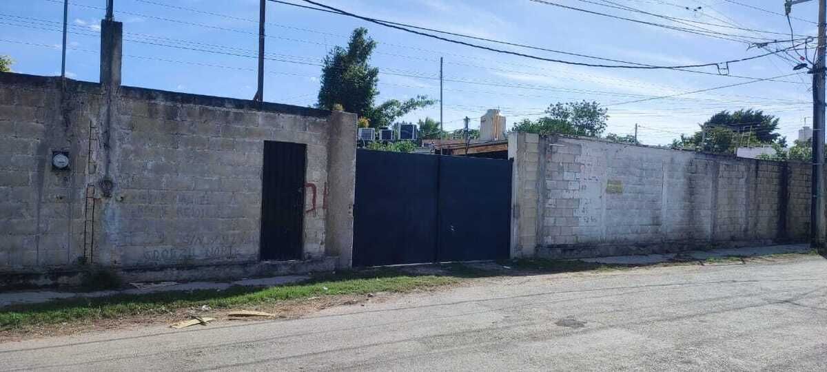 6 de 6