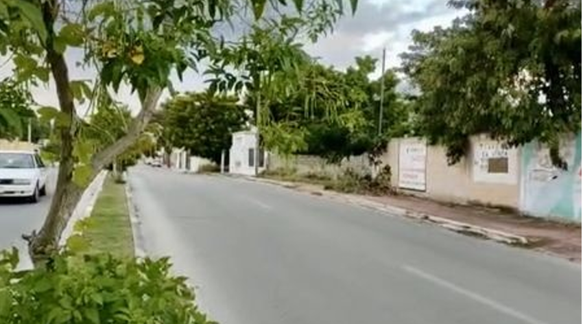 1 de 3
