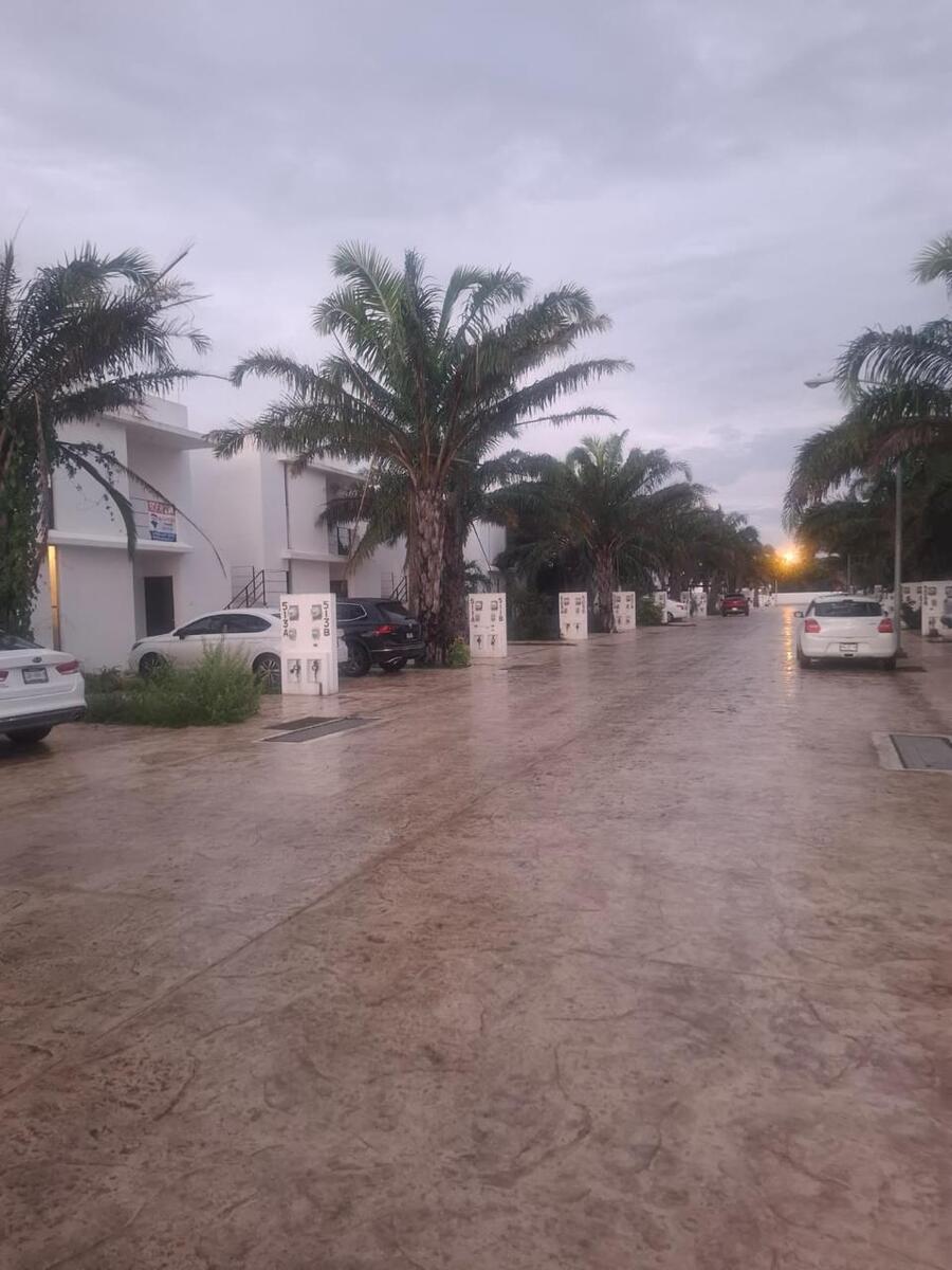 5 de 11