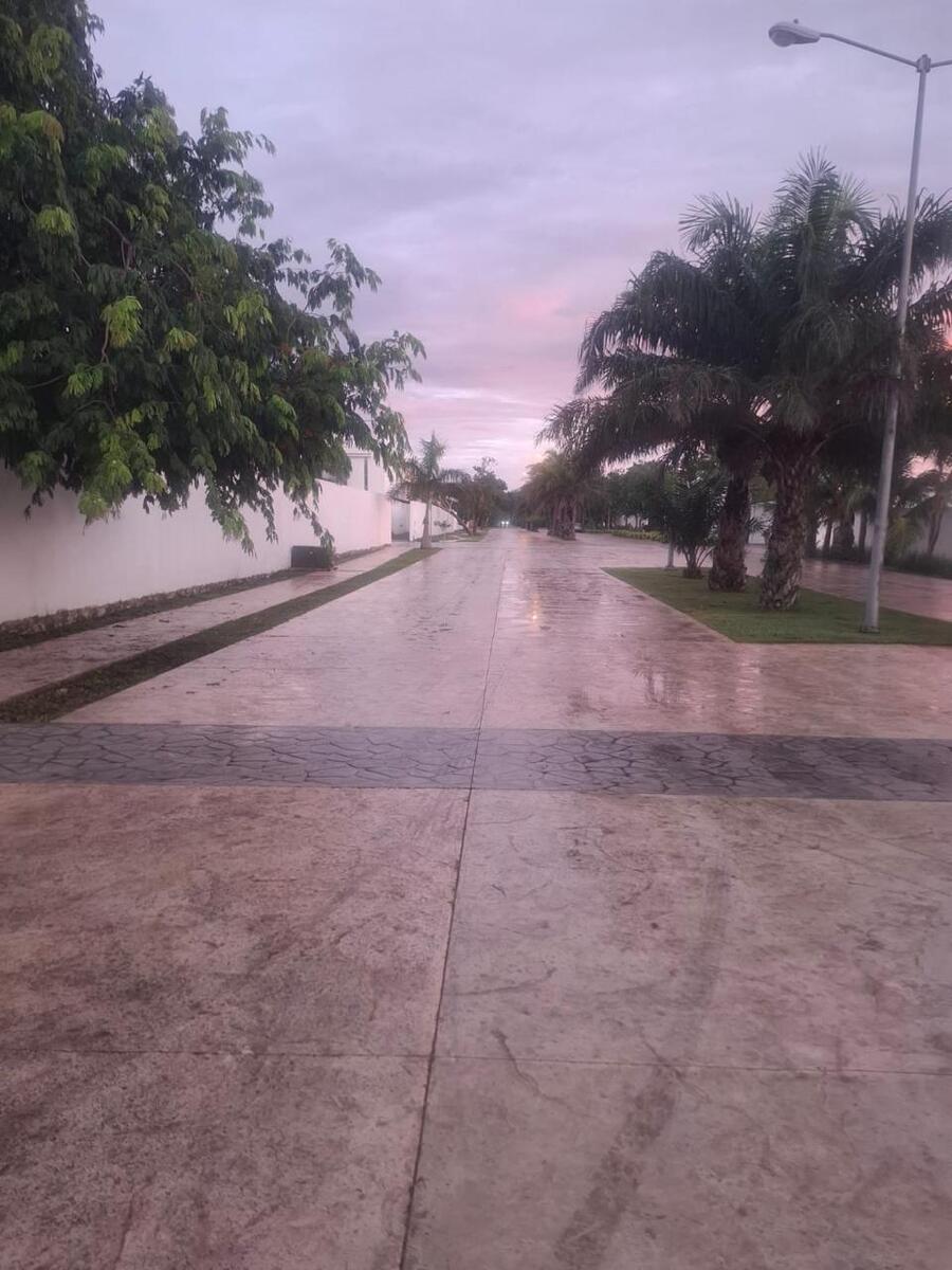 6 de 11