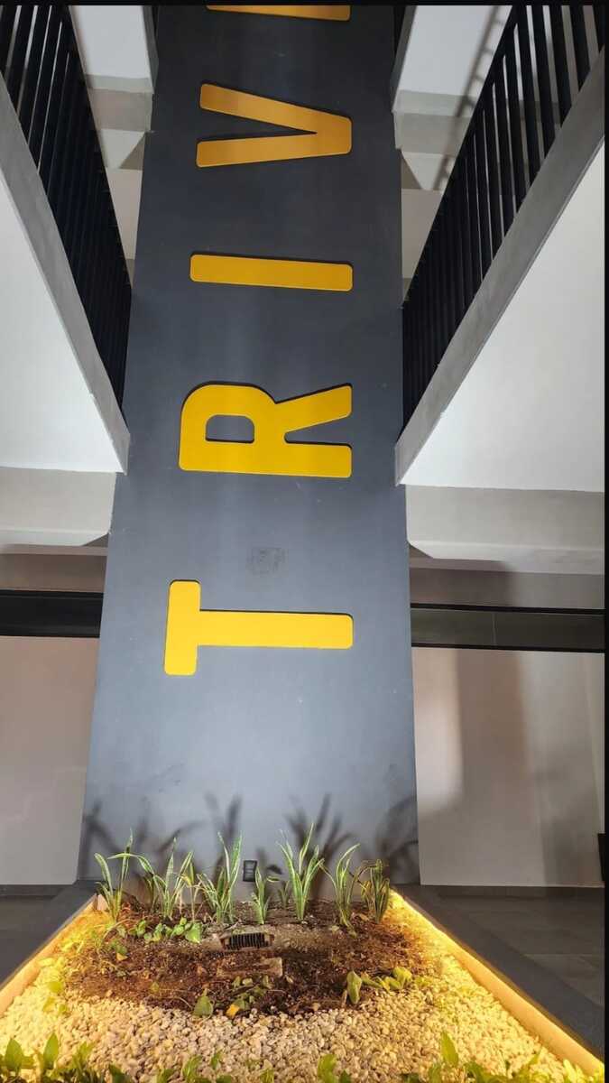 13 de 19