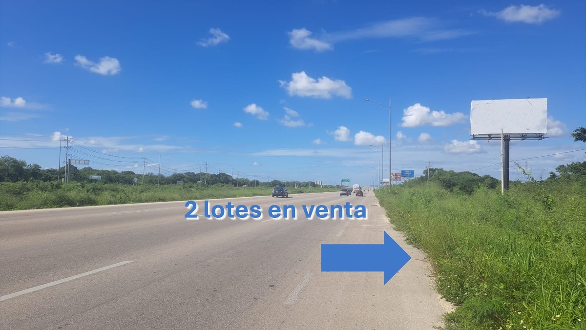 5 de 8