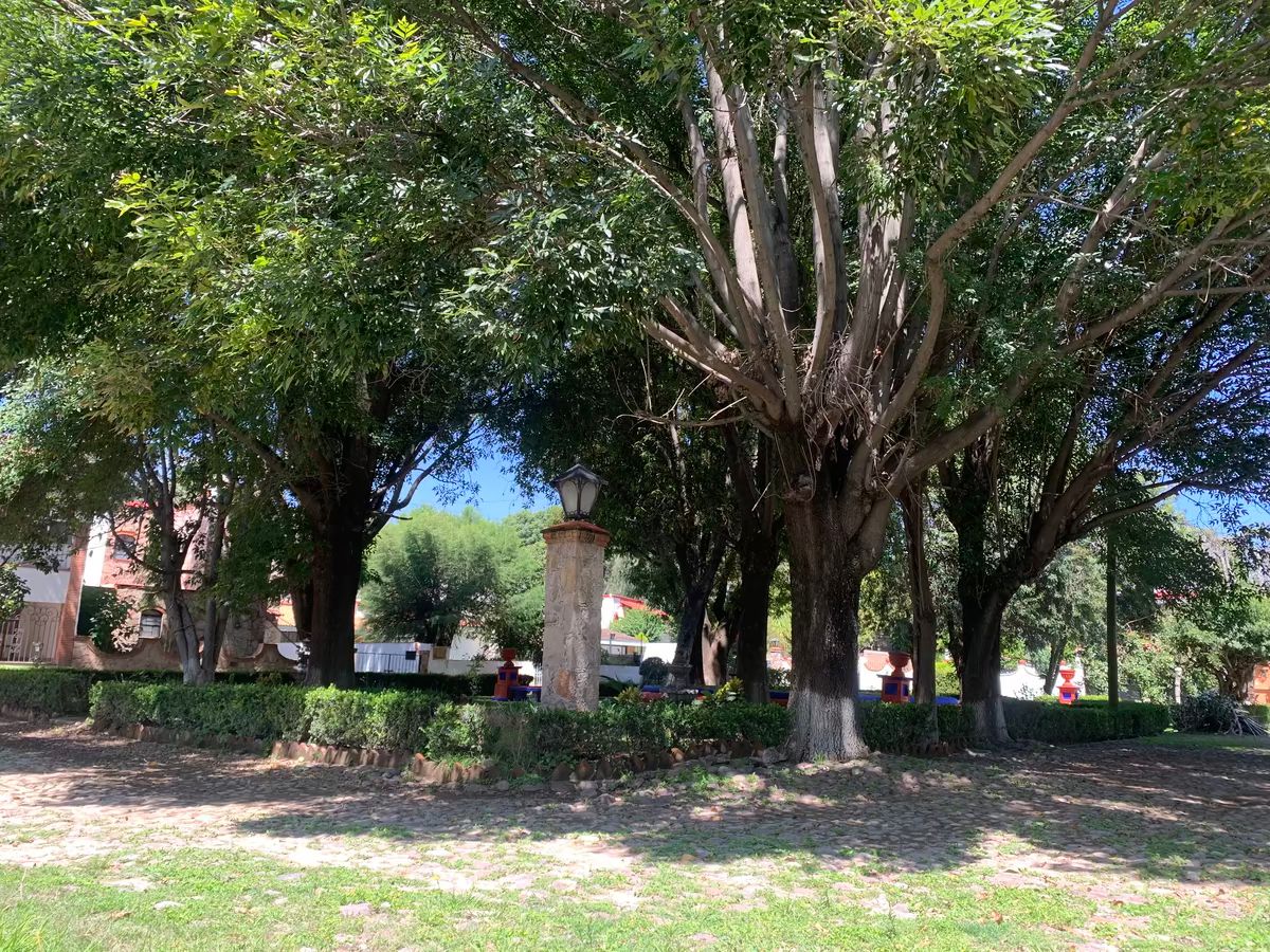 36 de 36: Parque trasero fraccionamiento