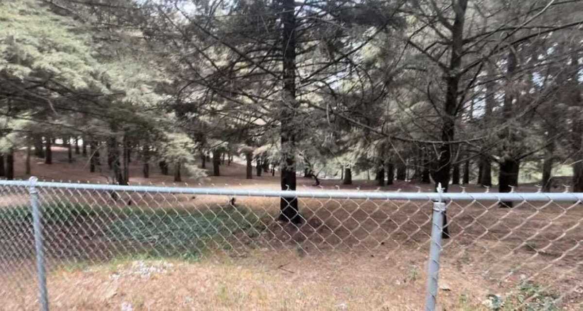 5 of 5