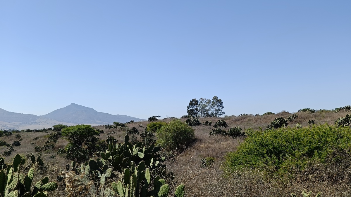13 de 24