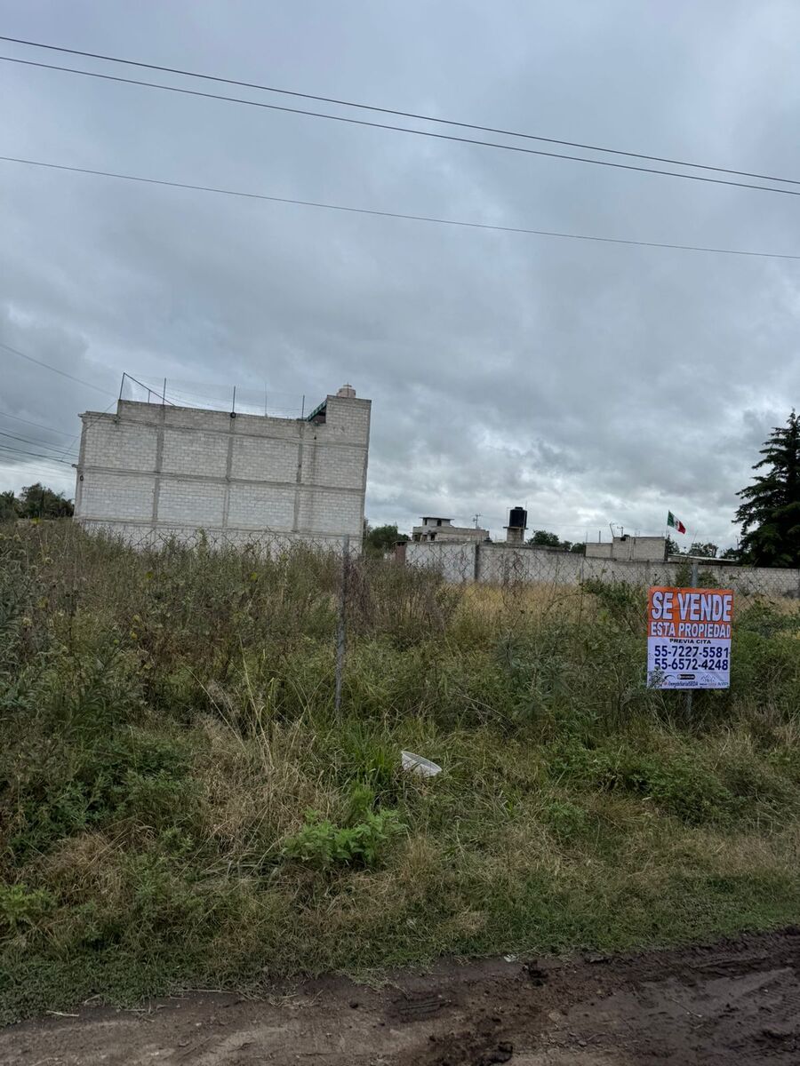 7 de 8