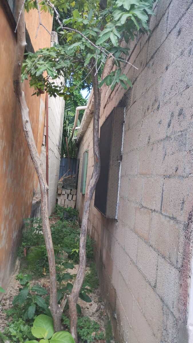 9 de 11