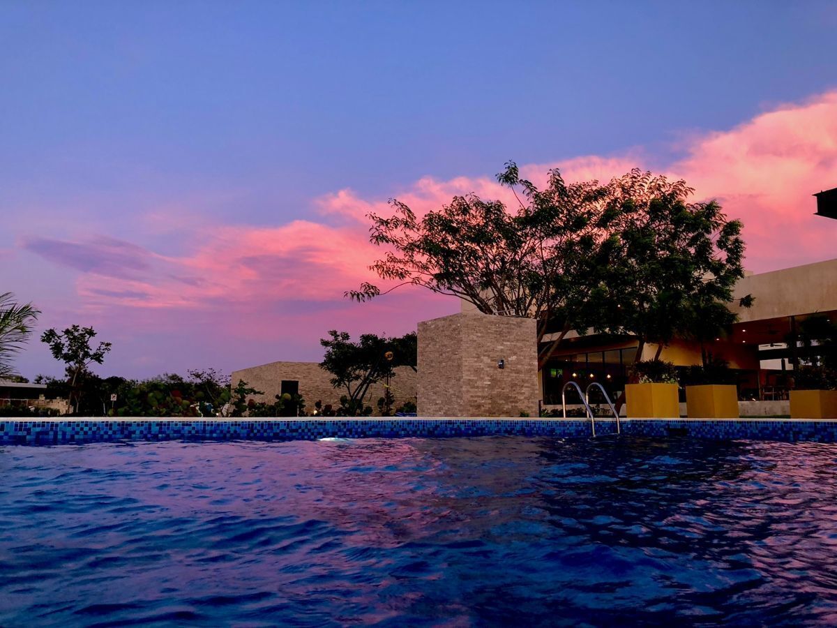 4 de 8: piscina semi-olímpica
