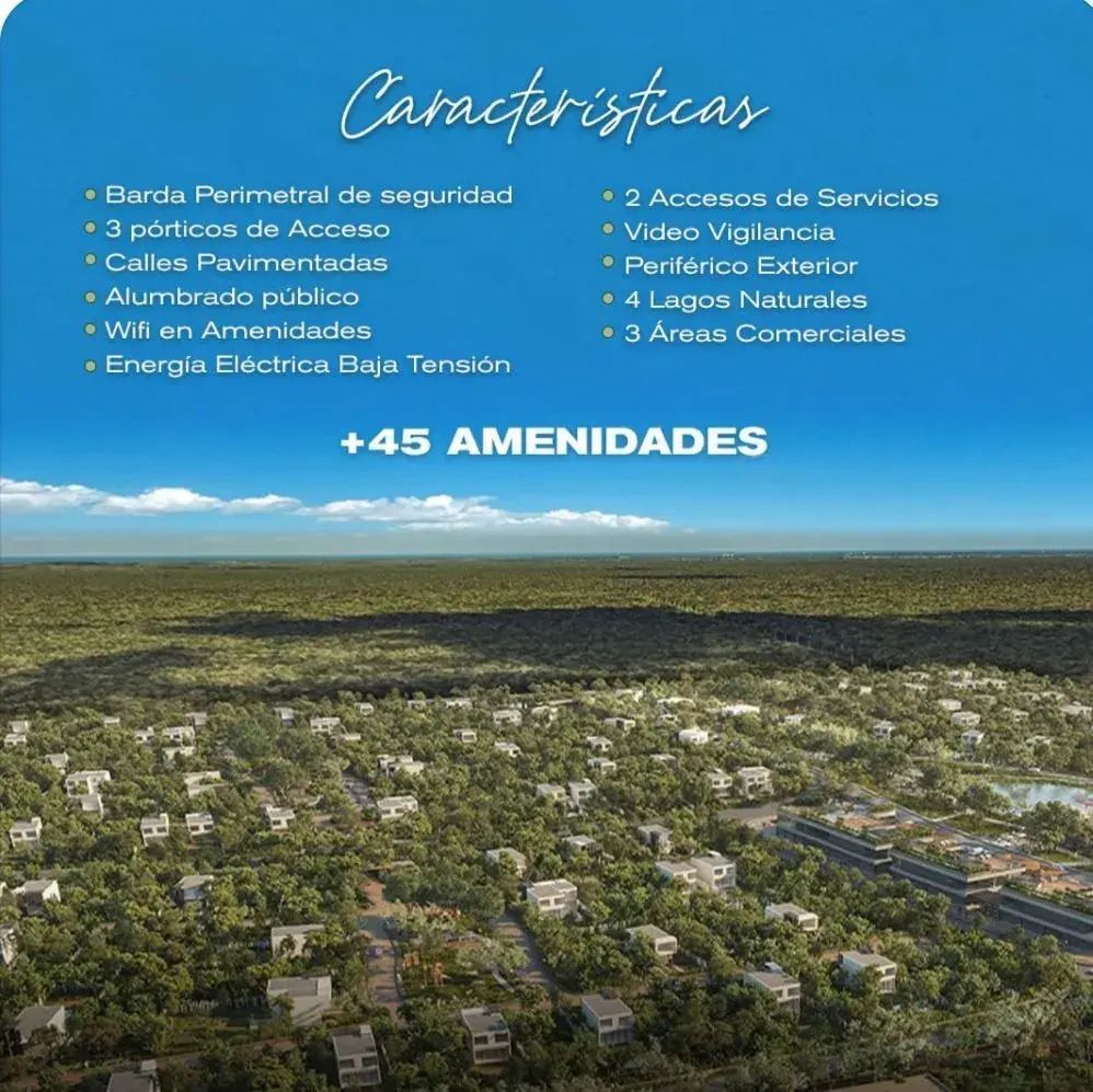 7 de 15