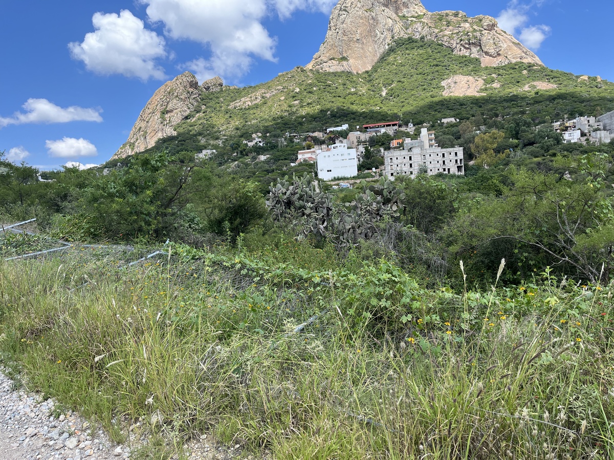 5 de 10