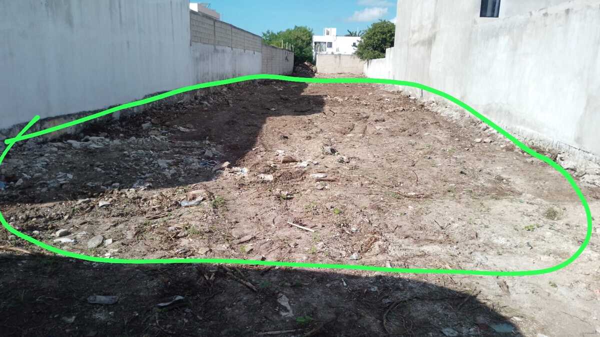 1 de 3