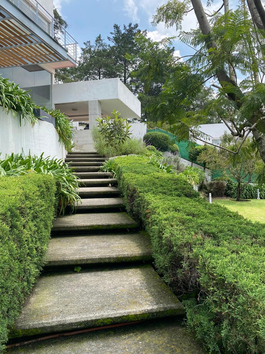 1 de 31